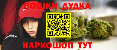стаф Донской