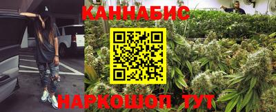 стаф Донской