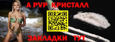 стаф Донской