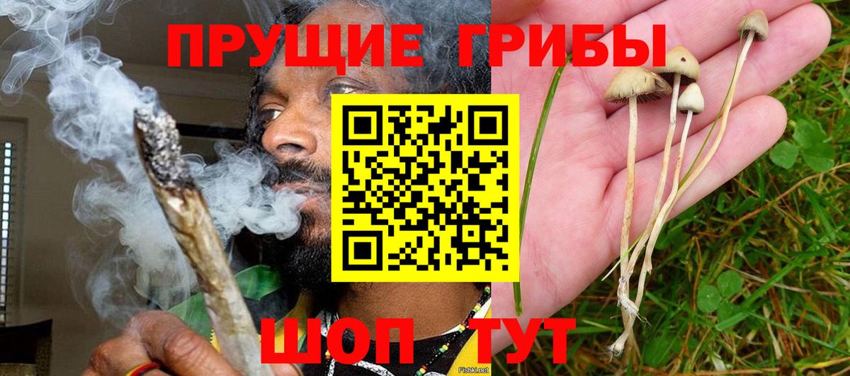 Псилоцибиновые грибы прущие грибы  Вход с VPN  Псилоцибиновые грибы Psilocybine cubensis  Наро-Фоминск 