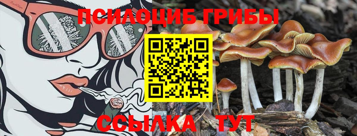 Галлюциногенные грибы MAGIC MUSHROOMS Наро-Фоминск